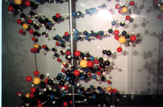 chemmodelintro.jpg (40524 bytes)