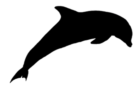 dolphin silhouette