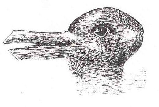 Duck or rabbit?