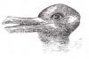 Duck or rabbit?