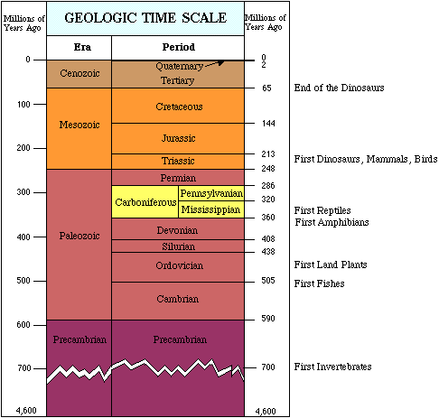 timeline