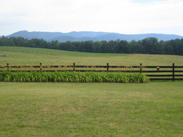 summermountains.jpg