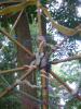 web3