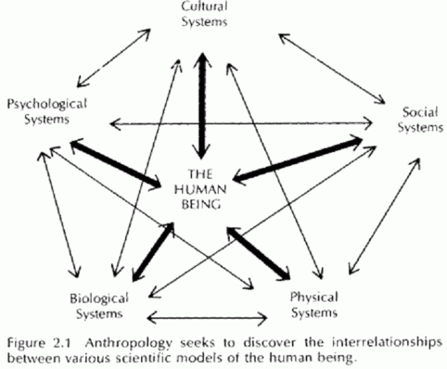 Web of Meaning