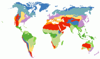 The continents