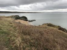 view from Ynys Llandwyn