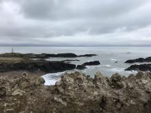 view from Ynys Llandwyn