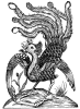 Phenex's picture